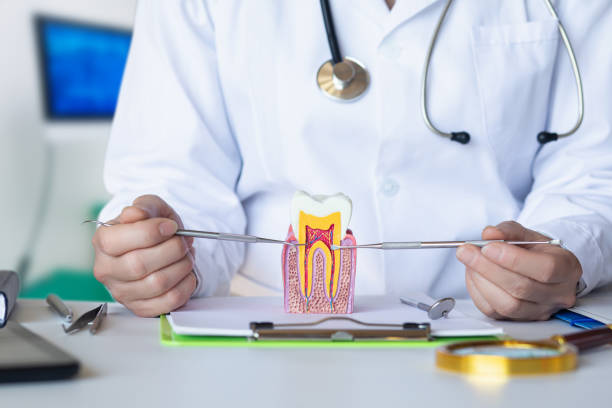 Trusted AR Emergency Dentist Experts